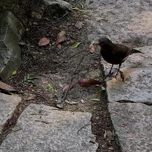 91精彩视频在线观看
